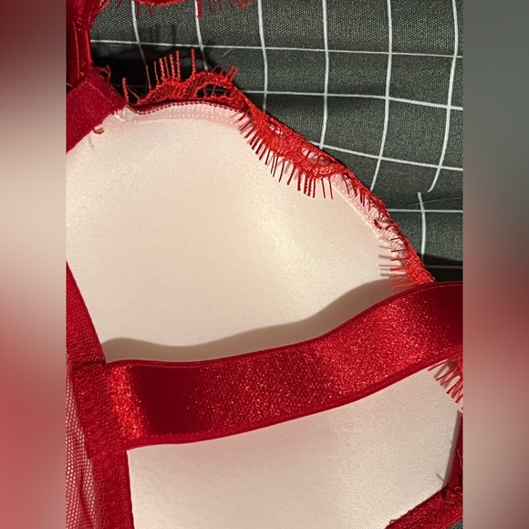 Red cherry shine strap push-up VS bra - Picture 15 of 17